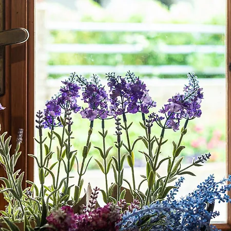 Elegante Panoramica Con Giardino E Idromassaggio A 10 Minuti Dal Mare * Castellabate