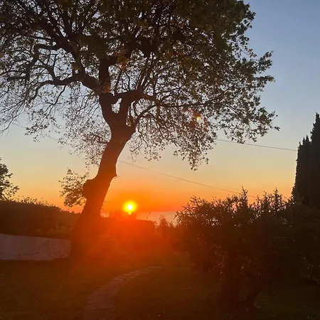 Elegante Panoramica Con Giardino E Idromassaggio A 10 Minuti Dal Mare * Castellabate